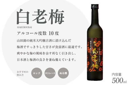 【お中元 内熨斗対応可能】知多の梅酒「白老梅」純米大吟醸　2本セット お酒 リキュール 佐布里梅 梅酒 澤田酒造 特産品 贈り物 ギフト 晩酌 宅飲み 家飲み 純米大吟醸 白老梅 日本酒 高級 愛知県