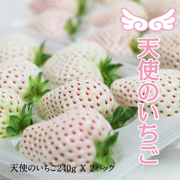 【ふるさと納税】【先行予約令和8年1月配送開始】 天使のいちご 240g X 2パック 凛々 白い 農家 直送品 果物 くだもの フルーツ 人気 ランキング 高評価 苺 イチゴ 【B120-065】