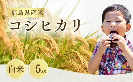 【先行予約】令和8年産 コシヒカリ 白米 5kg | コシヒカリ こしひかり 米5kg 福島 福島県産 福島産 精米 お米 米 コメ 武田ファーム サムランド 福島県 南相馬市 cu005-aa