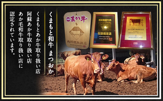 くまもと あか牛 ハンバーグ 150g×5個 計750g 牛肉 100%