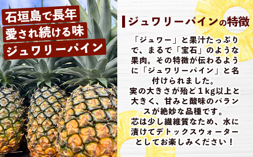 【マツコの知らない世界で絶賛！】《2025年4月以降発送》【先行予約】パイナップル好きにおすすめ！満足のパイナップル4品種定期便【 沖縄 石垣 ピーチ ホワイトココ ジュワリー スナック パイン パイ