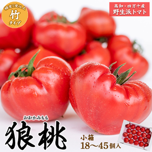 【先行予約／2026年2月下旬から発送】四万十育ち「狼桃」 糖度7度以上　竹タイプ（18～45個入）小箱 Fdf-07　／フルーツトマト しまんと 高知 贈答 ギフト プレゼント 贈り物 お取り寄せ 熨斗 料理 サイズおまかせ トマト とまと 野菜 高知県産 四万十 産地直送 新鮮 期間 数量限定 期間限定 数量限定