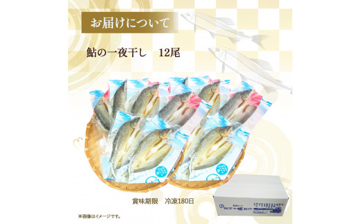 四万十鮎一夜干し12尾セット／Ess-14