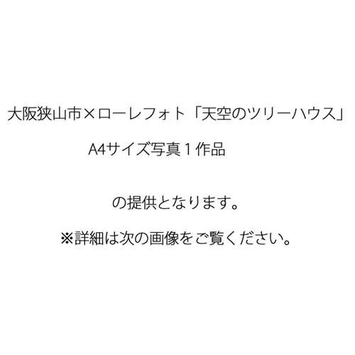 4－A4 大阪狭山市×ローレフォト 天空のツリーハウス No.174