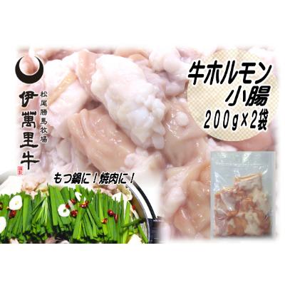 ふるさと納税 伊万里市 伊万里　小腸