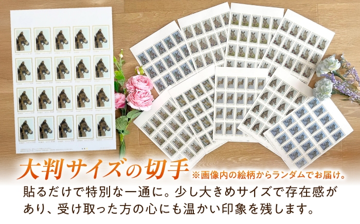文房具 ステーショナリーセット 競馬 馬 競走馬 グッズ 雑貨 クリアファイル