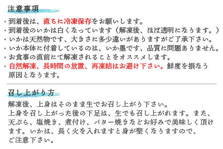 『予約受付』呼子のいか活造り4杯! コリコリ甘い鮮度抜群の透明感! 約200g×4(合計約800g) 刺身 ギフト 冷凍 ※水揚げあり次第6月以降順次発送させていただきます。