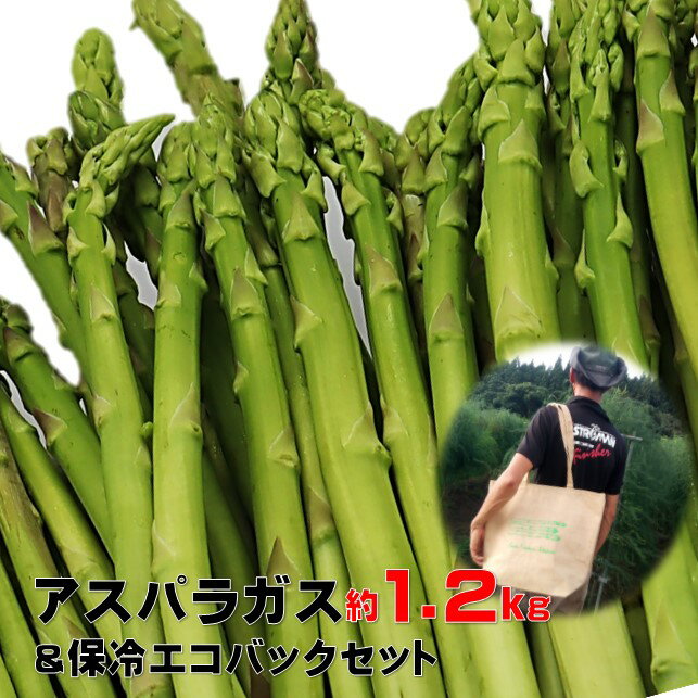 【ふるさと納税】 5月初旬頃から順次発送！採りたて 春の アスパラガス 約1.2kg＆オリジナル 保冷 エコバック セット 新鮮 野菜 グリーン アスパラ 産地直送 岩手県 北上市産 不揃い サイズ アスパラ王子 石井建一 岩手県 北上市 D0433 春野菜
