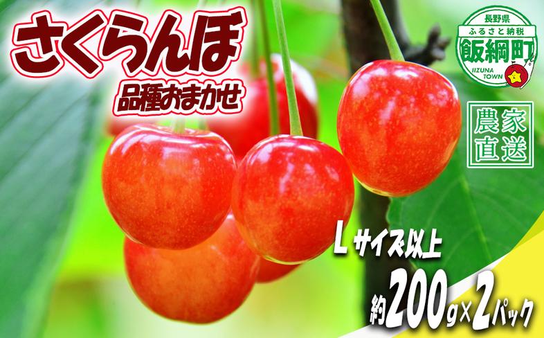 【 Lサイズ以上 冷蔵便 朝採り 当日発送 】 さくらんぼ Lサ