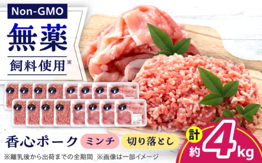 『香心ポーク』切り落とし ミンチ セット 各約250g×8パック（計約4kg）豚肉 冷凍 熊本県産 【有限会社 コーシン】 豚肉 切り落とし ミンチ ひき肉 小分け 冷凍 国産 熊本県 熊本 大容量 4kg こま切れ 炒め物 ハンバーグ 餃子 豚汁 麻婆豆腐 万能 ジューシー 訳あり セット  [AYCK027]