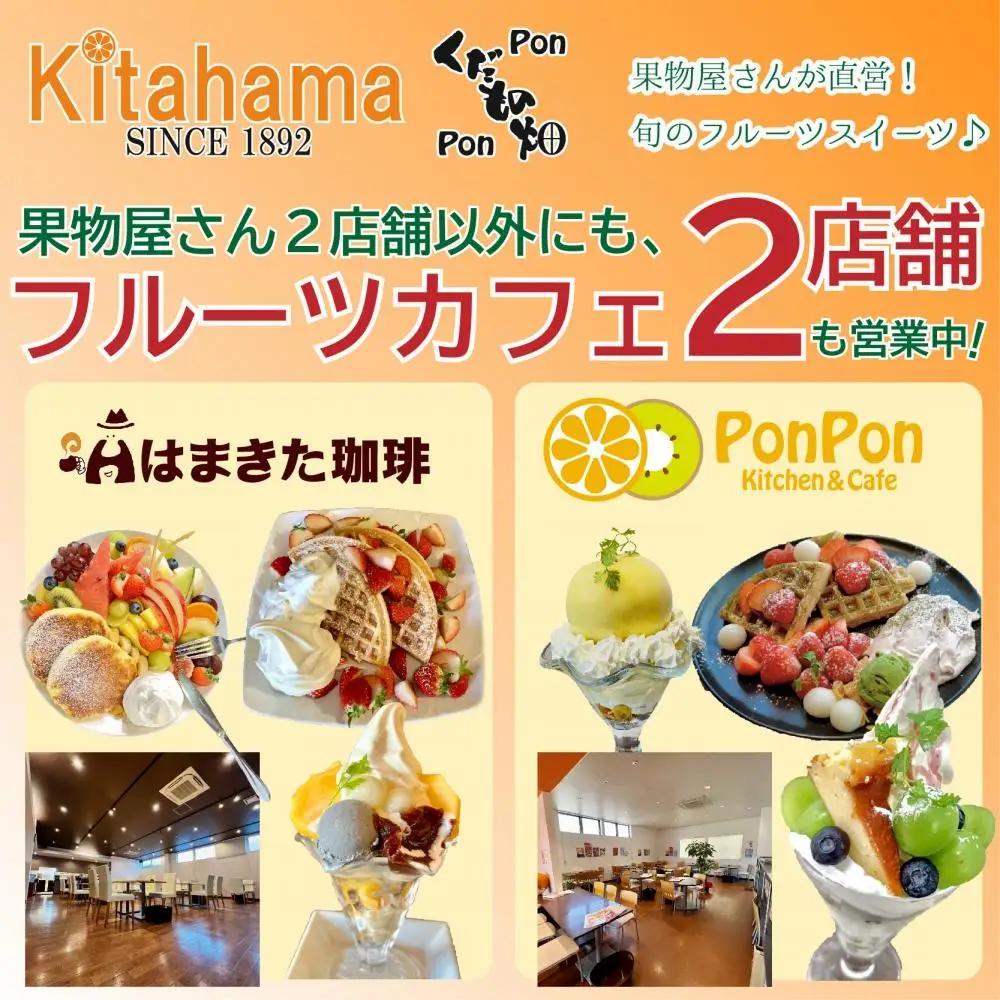 さぬき姫いちご　12パック（1パック約250g） いちご