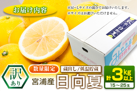 先行予約 訳あり 宮浦産 蔵出し 日向夏 計3kg以上 期間限定 数量限定 フルーツ 果物 くだもの 柑橘 みかん 令和8年発送 国産 産地直送 新鮮 食品 ジュース デザート フルーツサンド おやつ
