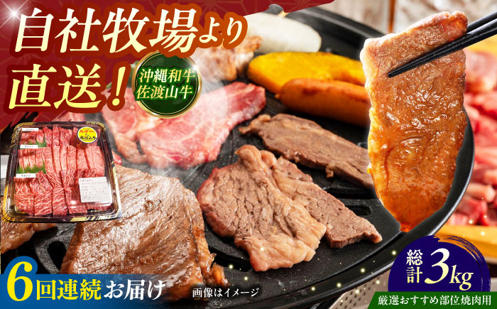 
            【全6回定期便】【厳選！おすすめ部位】沖縄和牛 佐渡山牛 焼肉用 500g 牛肉 焼肉 焼き肉 和牛 赤身 沖縄市 / 肉のサブロー [BCBC012]
          