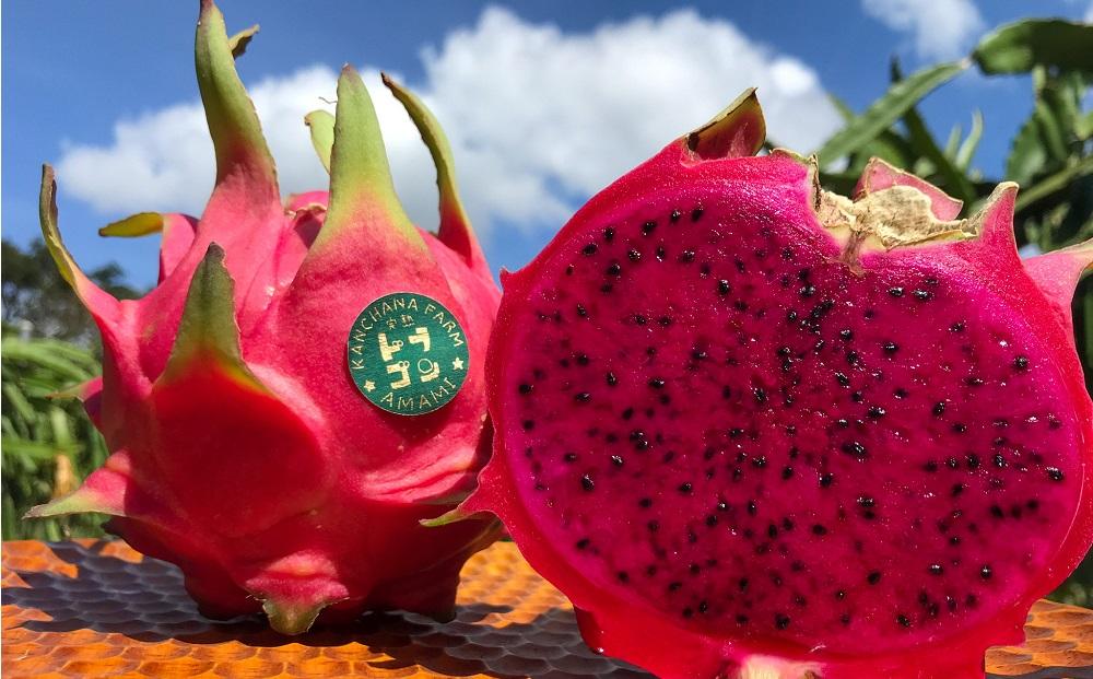 奄美産 食べごろ樹上完熟『赤蜜ドラゴンフルーツ』約2kg（5〜6玉）＜北海道・沖縄県配送不可＞