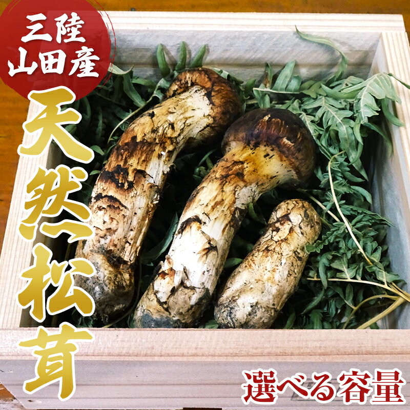 【ふるさと納税】≪2025年先行予約 9月中旬～10月下旬発送予定！≫三陸山田産松茸 70g～150g以上 三陸山田 山田町 まつたけ マツタケ 野菜 山田産野菜 ベルアクト YD-897var