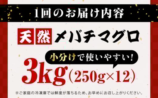 【全12回定期便】まぐろ ねぎとろ 約3kg（約250g×12パック） 鮪 マグロ 魚 ネギトロ 横須賀【本まぐろ直売所】 [AKAK043]