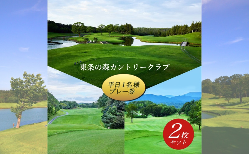 
東条の森カントリークラブ 平日1名様プレー券（2枚セット） 東条の森CC
