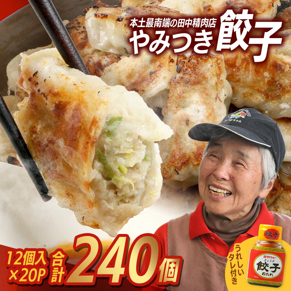 【ふるさと納税】佐多の田中肉屋ニンニクたっぷりやみつき餃子 240個（12個入り×20パック） 餃子のタレ3本付き | ギョウザ にんにく スタミナ餃子 大容量 手作り おかず ビールと一緒に 冷凍 産地直送 鹿児島県 南大隅町 田中精肉店　TA-2