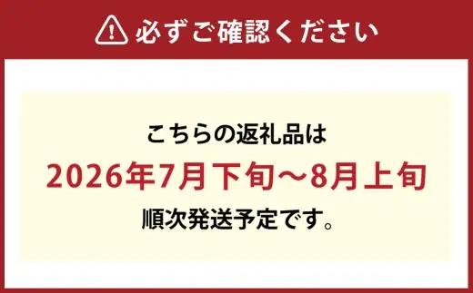 シャインマスカット ＆ マスカット ・ オブ ・ アレキサンドリア 詰め合わせ （ 各1房 約600g以上 計1.2kg以上 ） ブドウ ぶどう 葡萄 マスカット エメラルドグリーン 果物の女王 くだ