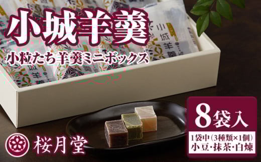 小城羊羹 こつぶたちようかん ボックス 8袋入り（3味×各1個）桜月堂 小分け 一口サイズ ミニサイズ ようかん 詰め合わせ 父の日 母の日 敬老の日 贈答 プレゼント 贈り物 お茶 スポーツ