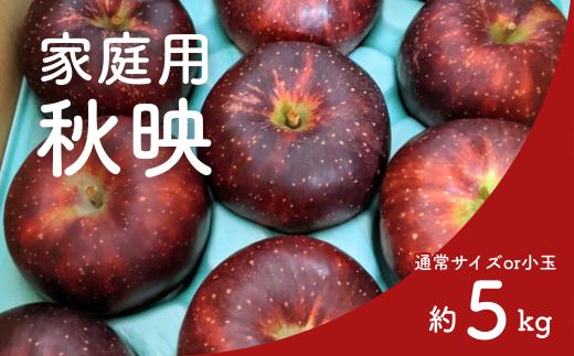 
            りんご 秋映 家庭用（通常サイズor小玉） 約5㎏ / 10月上旬頃～配送予定 // 長野県 南信州 松川町産 リンゴ 林檎 訳あり 自家用 家庭用 あきばえ 農家直送 農家支援 産地直送 KR29 KR38
          