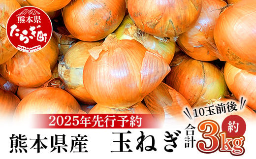 
【先行予約】熊本県産 玉ねぎ 3kg (10玉前後) ≪2025年4月下旬から順次発送≫ 玉葱 野菜 数量限定 JAS たまねぎ オニオン 甘い サラダ ハンバーグ 肉じゃが カレー 065-0635
