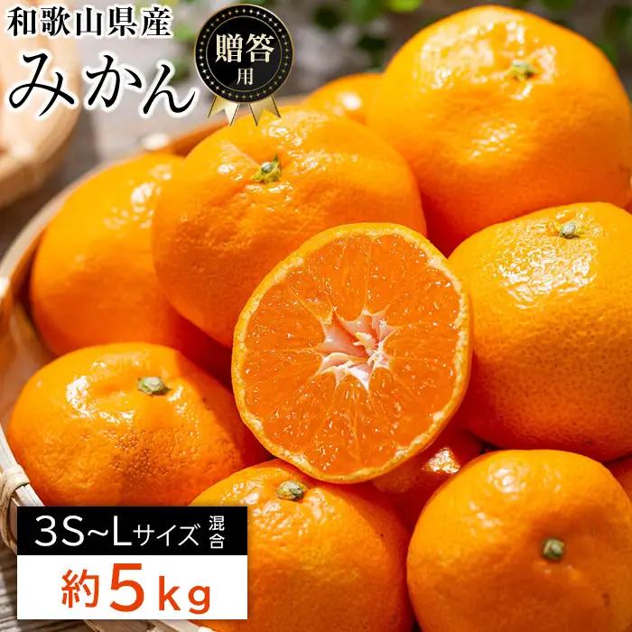 和歌山県産 糖度 12.5度以上 秀品 贈答用 みかん 5kg 3S ～ Lサイズ混合［MG55］