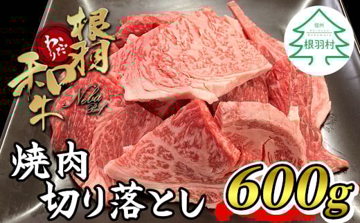 6月発送★高評価・大人気！根羽こだわり和牛 焼肉切り落とし 600g リブロース カタロース モモ カタ バラ ウデ 焼肉用 10000円　国産黒毛和牛 国産牛 ブランド牛