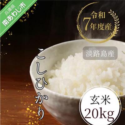 ふるさと納税 南あわじ市 令和7年産　淡路島産こしひかり　玄米20kg