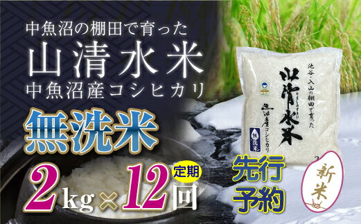 【ふるさと納税】【定期便／全12回】無洗米2kg　新潟県魚沼産コシヒカリ「山清水米」十日町市 米　お届け：寄附入金確認後、順次発送します。