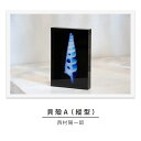 【ふるさと納税】zushi art gallery西村陽一郎写真作品　アクリルブロック「貝殻A（縦型）」　インテリア・西村陽一郎・写真作品・作品・アクリルブロック