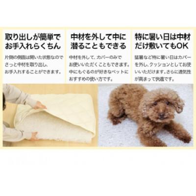 ふるさと納税 都城市 ペット用「エアーアスリート(R)」Sサイズ　グレー　ry0202sGY |  | 01