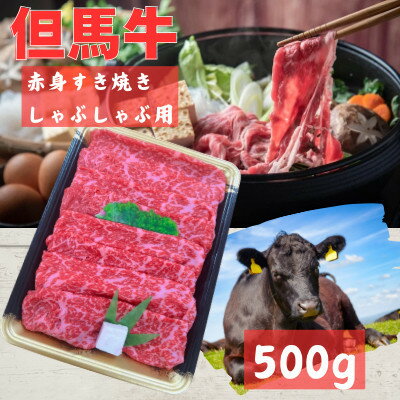 【ふるさと納税】但馬牛　赤身スライス(モモ・肩部位)500g【配送不可地域：離島】【1615679】