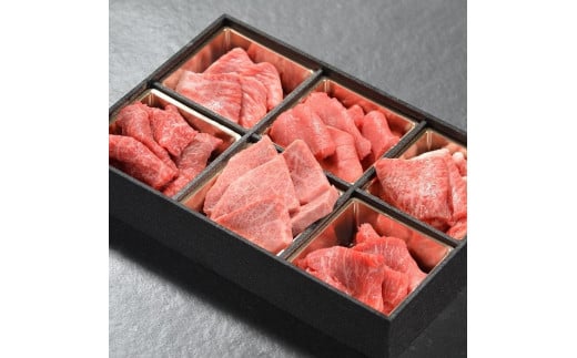 
            神戸牛 焼肉 6種盛り　600g（専用仕切り箱）　KB003
          