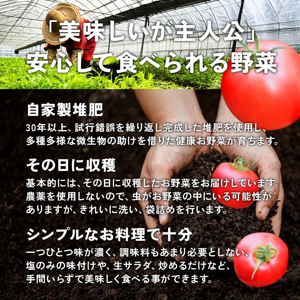 【12回定期便】特別栽培季節のお野菜セット 8品 野菜 無農薬 有機栽培 新鮮 やさい 旬 詰合せ 国産 宮崎県 九州 送料無料