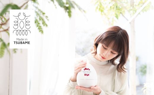 TEN マシュマロホワイト【アニバーサリーデイズシリーズ】ガーベラと名前 FC090024