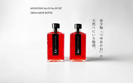 MIYAYOSHI No.03・09 2P SET LARGE BOTTLE（B970-2）