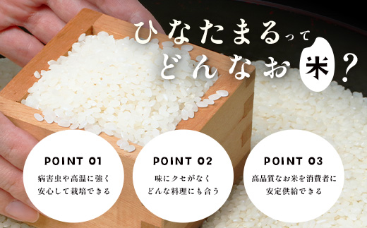 ひなたまる10kg(5kg×2)白米｜特別栽培米【ひなたまる 令和7年誕生 新ブランド米】【生産者直送】幸せと笑顔を届ける元氣のお米｜佐賀県特別栽培農産物｜化学農薬・化学肥料不使用｜新米 精米 有機肥