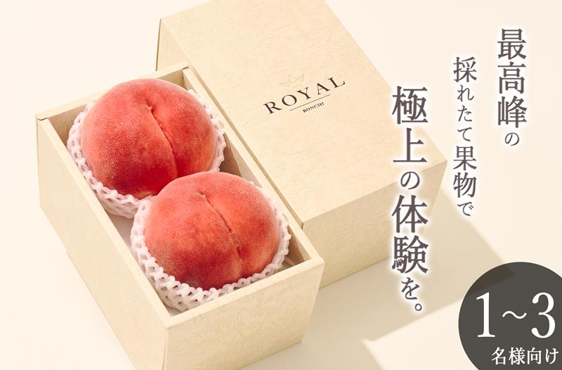 
            甲州市産 大玉桃 2個入り 900g以上 自然農法【2026年発送】（BNC）B-444 【桃 もも モモ 令和8年発送 期間限定 山梨県産 甲州市 フルーツ 果物】
          