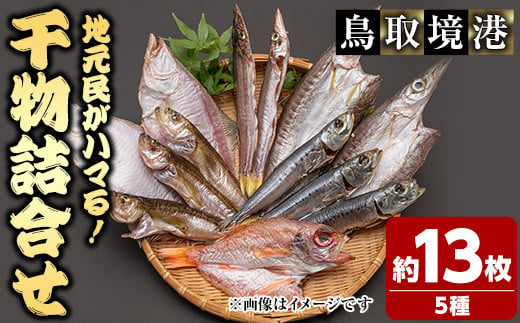 人気干物詰め合わせセット(約13枚)【sm-DG004-B】【木村鮮魚店】