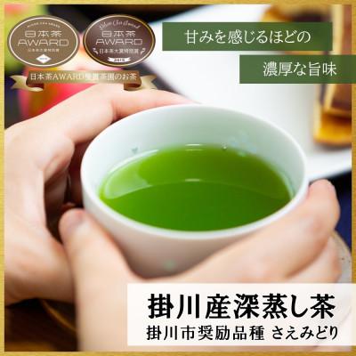 ふるさと納税 掛川市 新茶 掛川市奨励品種さえみどり50g×2本 日本茶AWARD受賞茶園のお茶 静岡県掛川市 茶農家直送