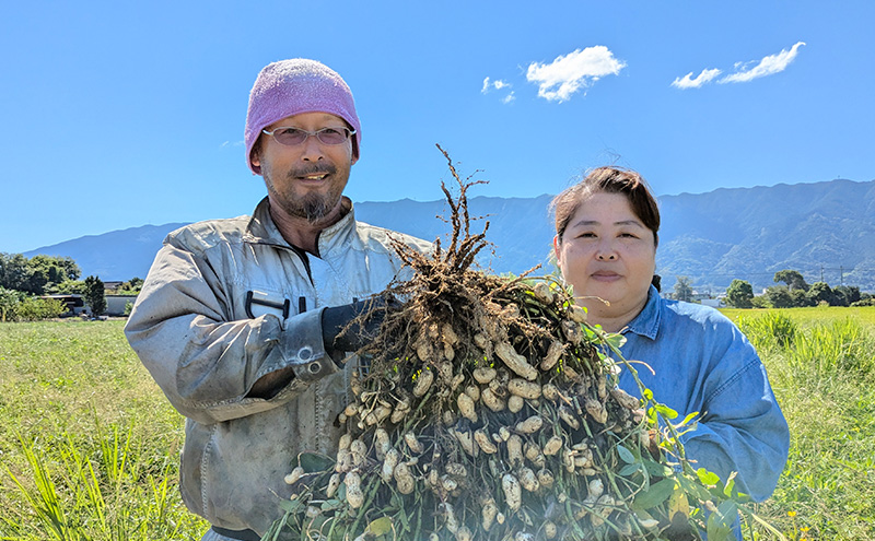 落花生 福岡県産 生落花生 おおまさり 2.5kg ※配送不可:離島