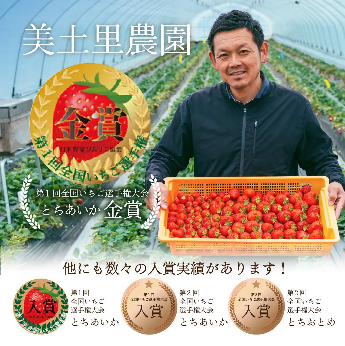 いちご【3月以降発送】朝採れとちあいか レギュラー 約270g×2パック 合計 約540g | いちご 栃木県 茂木町