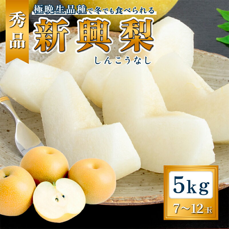 【ふるさと納税】日本なし 新興（5kg秀品7～12玉） 梨 なし ナシ 大玉 フルーツ 果物 5kg 7玉 8玉 9玉 10玉 12玉産地直送 新潟市産 新潟 　お届け：2025年10月下旬～2025年11月中旬