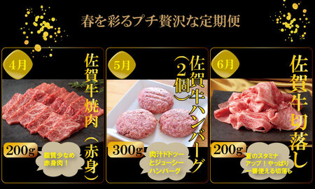【定期便】 (連続12回) 佐賀牛 やまとフーズ 単身・おひとり様用 [Q146-001