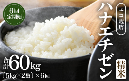 【先行予約】【令和8年産 新米】 定期便≪6ヶ月連続お届け≫エコ栽培ハナエチゼン 精米 10kg×6回（計60kg） ／ 鮮度抜群 福井県産 はなえちぜん ご飯 新鮮 白米 ※2026年9月上旬以降順次発送予定 [aw063-k008]