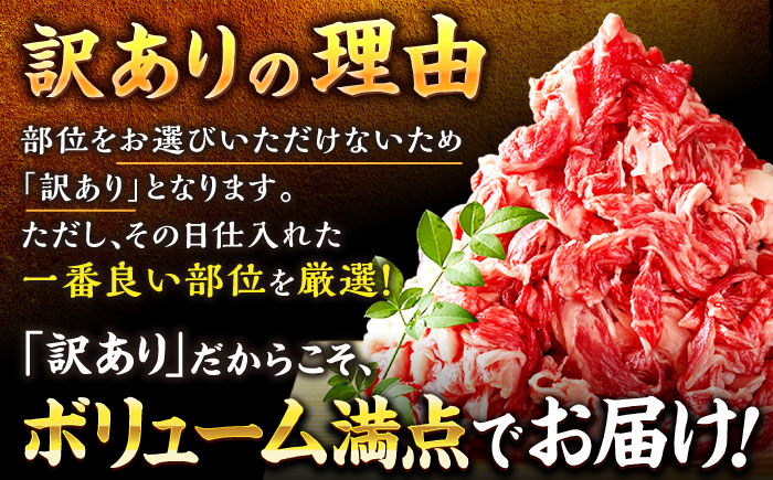 【和牛の旨味を堪能！】博多和牛 切り落とし 500g＜株式会社MEAT PLUS＞那珂川市 [GBW008]