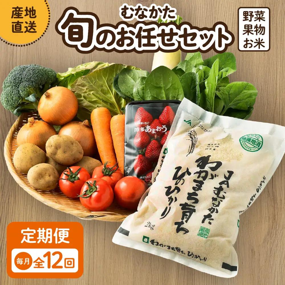 【定期便／年12回／毎月お届け】むなかた旬のお任せセット 野菜 フルーツ お米 9～11品 _HB0029 | お野菜 果物