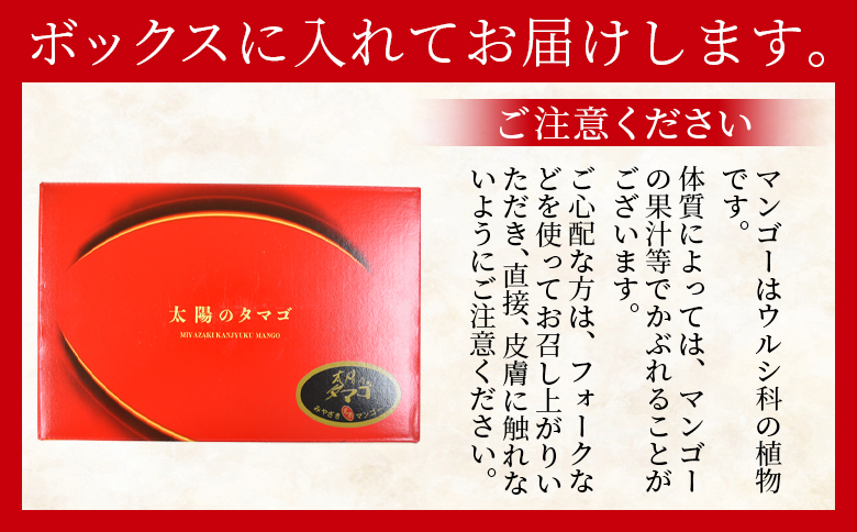 ＜宮崎県産 太陽のタマゴ A等級 A5Lサイズ×1玉（約700g）＞2025年4月下旬～2025年6月下旬迄に順次出荷【 太陽のタマゴ 完熟マンゴー 完熟 マンゴー フルーツ トロピカルフルーツ 果物