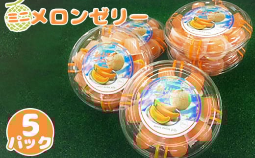 先行受付 ミニメロンゼリー 5パック（各18個入） ｜ オンライン 申請 ふるさと納税 北海道 新十津川 北海道産 メロンゼリー ゼリー メロン 赤肉メロン 赤肉 ひとくちゼリー 子供 こども スイーツ シャーベット お菓子 洋菓子 ギフト 贈り物 新十津川町【1201001】